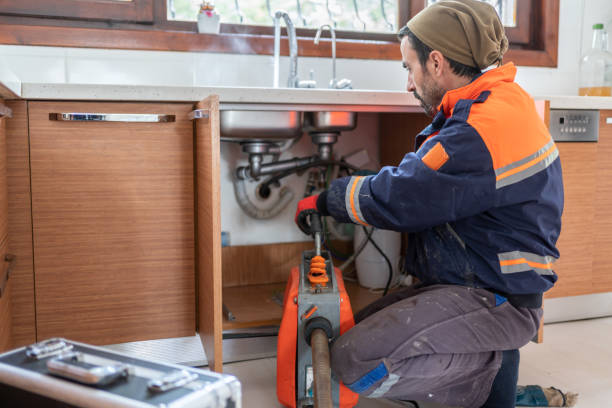 Best Local Plumber Services  in Limesa, CA