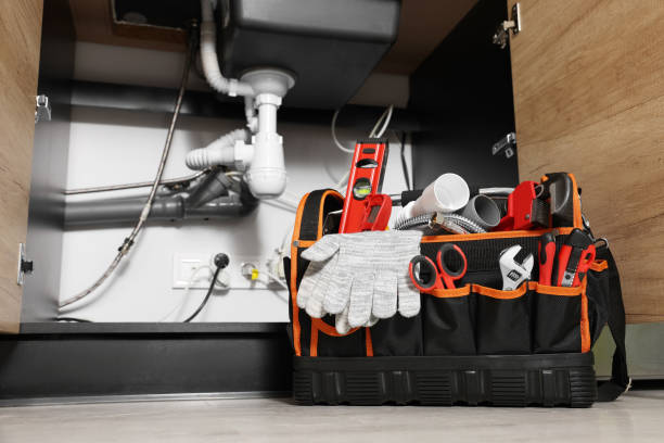 Best 24-Hour Plumber Near Me  in Limesa, CA
